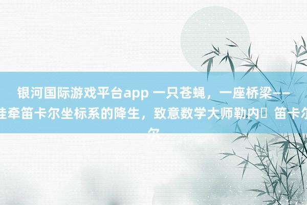 银河国际游戏平台app 一只苍蝇，一座桥梁——挂牵笛卡尔坐标系的降生，致意数学大师勒内・笛卡尔