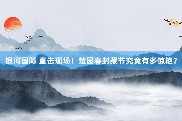 银河国际 直击现场！楚园春封藏节究竟有多惊艳？