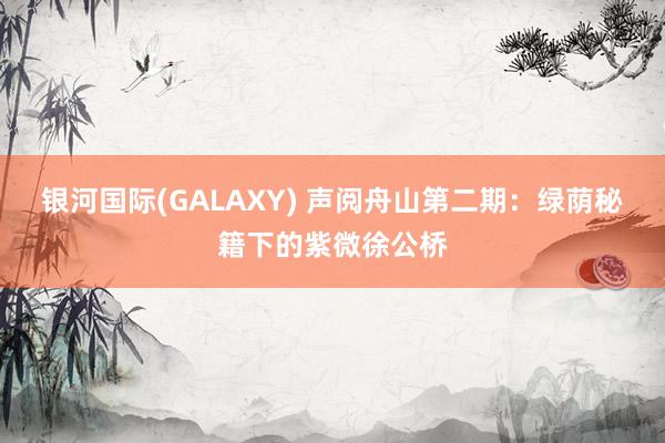 银河国际(GALAXY) 声阅舟山第二期：绿荫秘籍下的紫微徐公桥