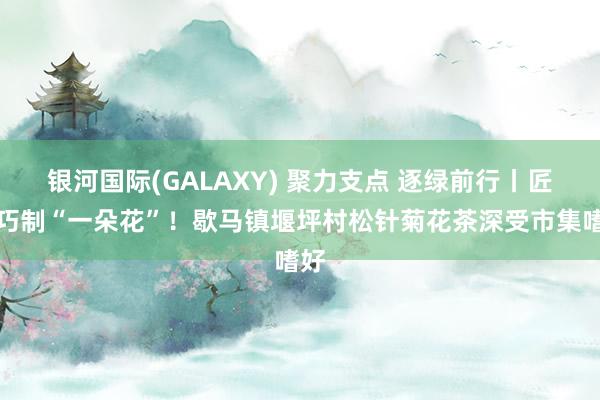 银河国际(GALAXY) 聚力支点 逐绿前行丨匠心巧制“一朵花”！歇马镇堰坪村松针菊花茶深受市集嗜好