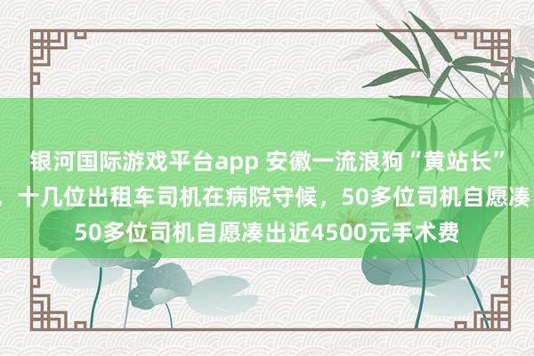 银河国际游戏平台app 安徽一流浪狗“黄站长”被车撞了作念手术，十几位出租车司机在病院守候，50多位司机自愿凑出近4500元手术费