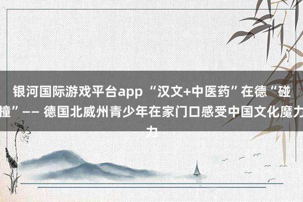 银河国际游戏平台app “汉文+中医药”在德“碰撞”—— 德国北威州青少年在家门口感受中国文化魔力