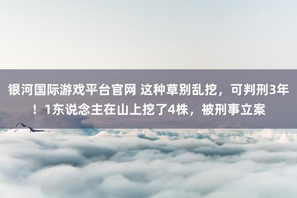 银河国际游戏平台官网 这种草别乱挖，可判刑3年！1东说念主在山上挖了4株，被刑事立案