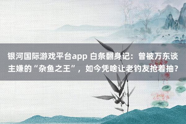银河国际游戏平台app 白条翻身记：曾被万东谈主嫌的“杂鱼之王”，如今凭啥让老钓友抢着抽？