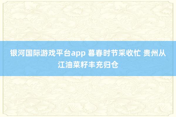 银河国际游戏平台app 暮春时节采收忙 贵州从江油菜籽丰充归仓