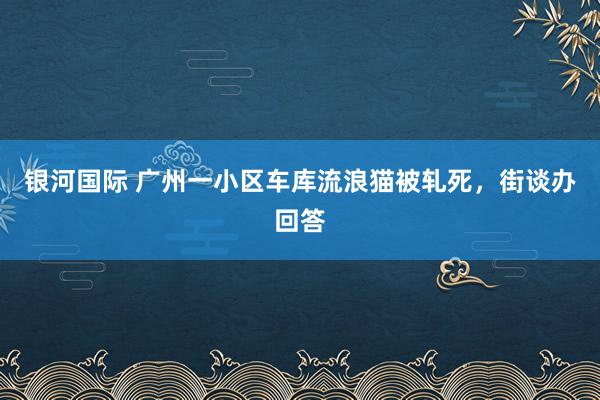 银河国际 广州一小区车库流浪猫被轧死，街谈办回答
